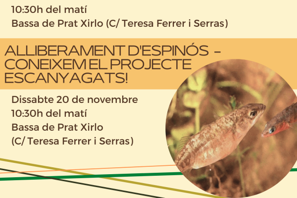 Jornada de voluntariat per la recuperació de la Bassa de Prat Xirlo